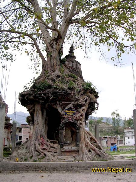 Храмик Шивы в Гокарна Махадев