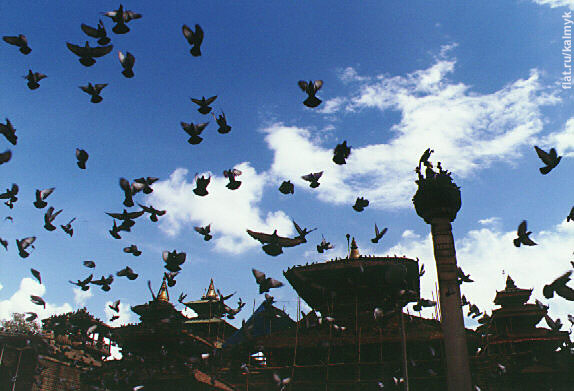 Голуби у храма Джаганнатх на дворцовой площади Катманду