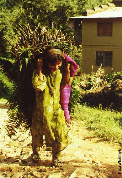 Девочка с хворостом в корзине доко - типичная октябрьская попутчица на тропе из Дуликеля в Паноти.