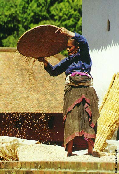 Женщина, просеивающая кукурузу на окраине Бхактапура