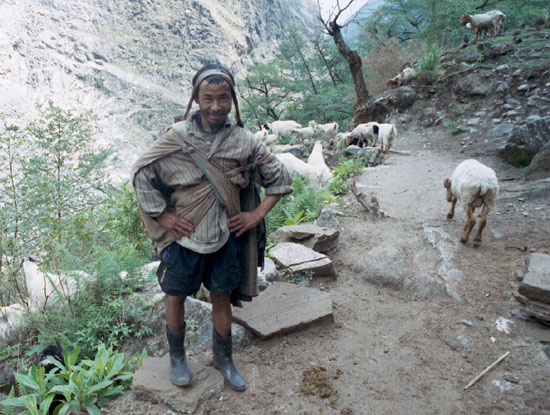 ���������